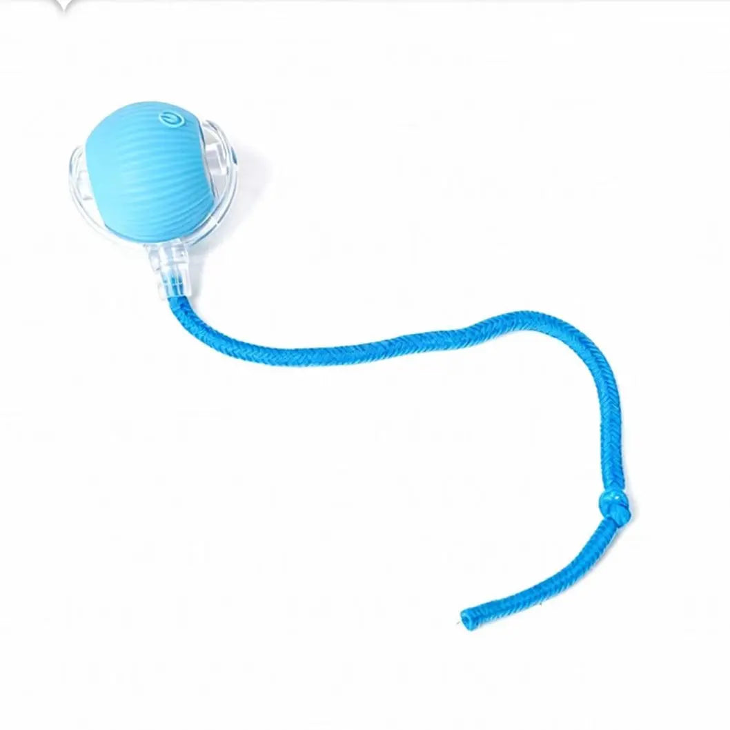 Get Your Feline Moving with Our USB-Cat-Approved Rolling Ball Toy & Teasing Stick! 🐾✨ Perfect for All Breeds, Bite-Resistant & Fun!