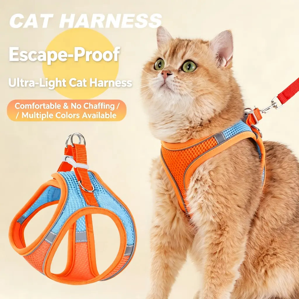 Keep Your Furry Friends Safe on Adventures with the Spoiled Paws Adjustable Pet Safety Belt & Harness Set! 🐾 Perfect for Hiking, Everyday Use, and Easy to Clean! ✨