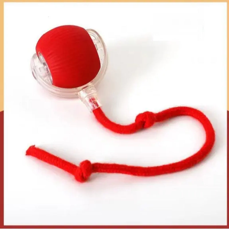 Get Your Feline Moving with Our USB-Cat-Approved Rolling Ball Toy & Teasing Stick! 🐾✨ Perfect for All Breeds, Bite-Resistant & Fun!