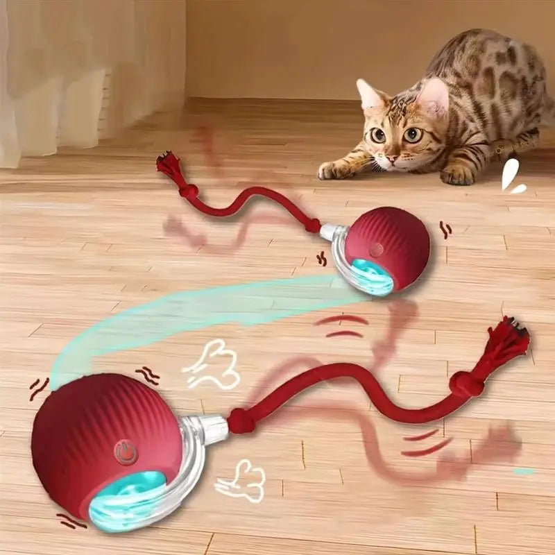 Get Your Feline Moving with Our USB-Cat-Approved Rolling Ball Toy & Teasing Stick! 🐾✨ Perfect for All Breeds, Bite-Resistant & Fun!