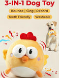 Unleash the Fun! 🎉 Meet the 3-in-1 Interactive Dog Bouncing Ball: Recordable, Singing, Jumping & Rechargeable! Perfect for your small to medium pup's boredom busting. Plus, it's washable for endless playtime! 🐾💖