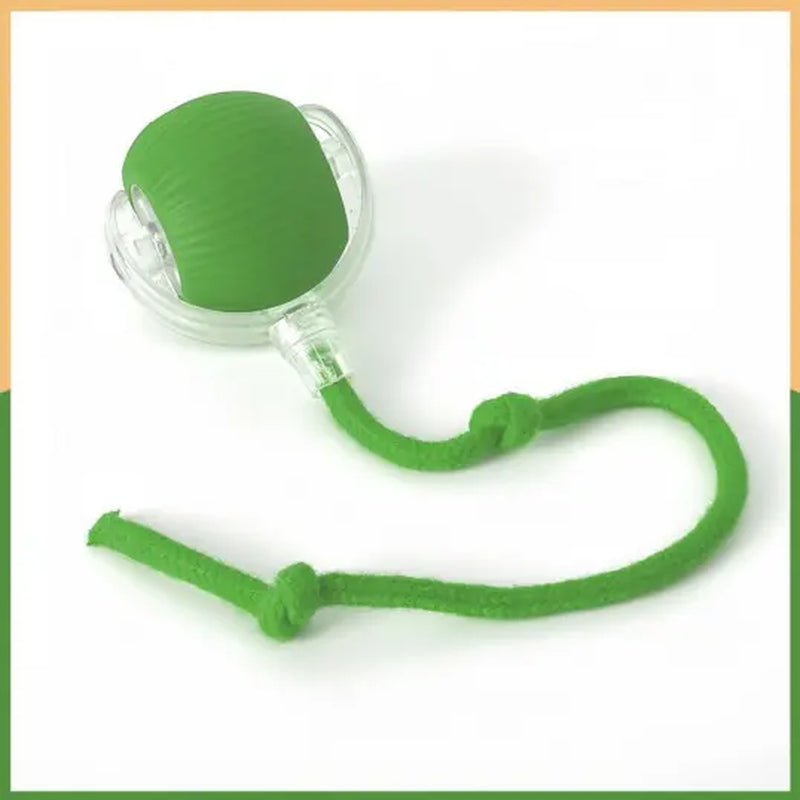 Get Your Feline Moving with Our USB-Cat-Approved Rolling Ball Toy & Teasing Stick! 🐾✨ Perfect for All Breeds, Bite-Resistant & Fun!