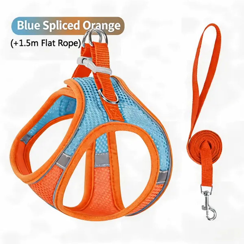 Keep Your Furry Friends Safe on Adventures with the Spoiled Paws Adjustable Pet Safety Belt & Harness Set! 🐾 Perfect for Hiking, Everyday Use, and Easy to Clean! ✨
