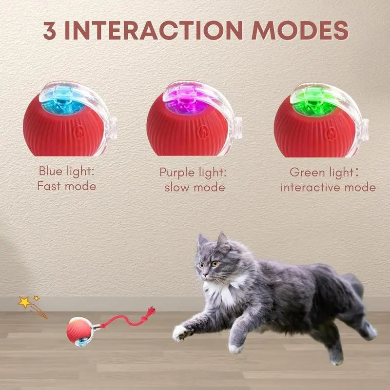 Get Your Feline Moving with Our USB-Cat-Approved Rolling Ball Toy & Teasing Stick! 🐾✨ Perfect for All Breeds, Bite-Resistant & Fun!