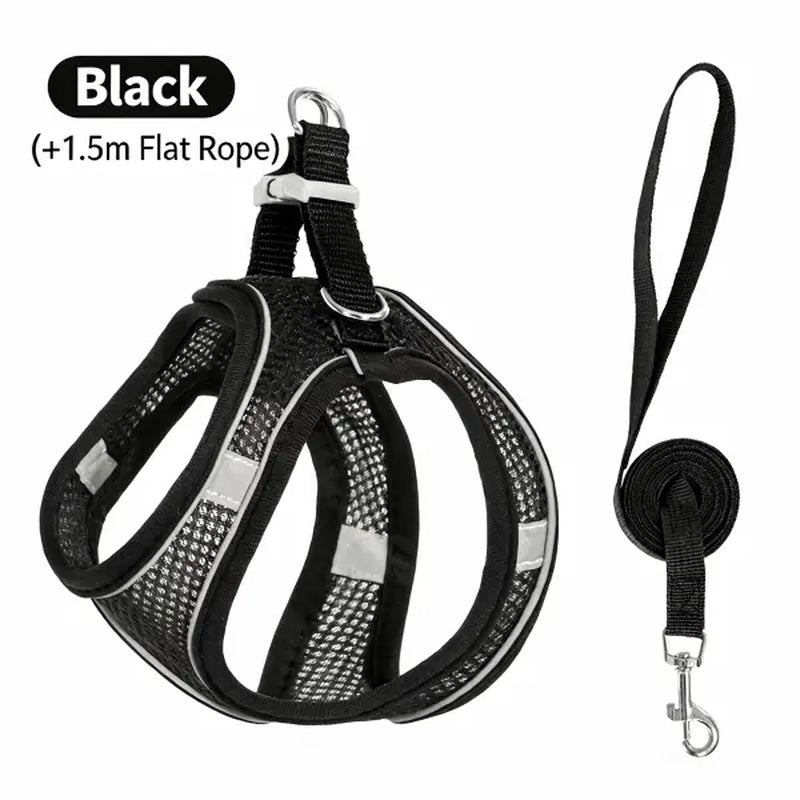 Keep Your Furry Friends Safe on Adventures with the Spoiled Paws Adjustable Pet Safety Belt & Harness Set! 🐾 Perfect for Hiking, Everyday Use, and Easy to Clean! ✨