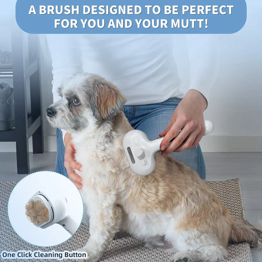 Catpick Pet Spray Hair Removal Comb, One Button Hair Removal Comb, Spray Odor Removal, Cat Brush, Dog Beauty Brush