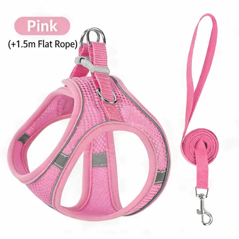 Keep Your Furry Friends Safe on Adventures with the Spoiled Paws Adjustable Pet Safety Belt & Harness Set! 🐾 Perfect for Hiking, Everyday Use, and Easy to Clean! ✨